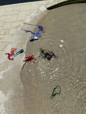 Raynaroseof OnlyFans Leaked Free Thumbnail Picture - #3yErk0Qp7Q