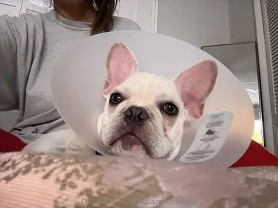 Realarmaniblack OnlyFans Leaked Free Thumbnail Picture - #4pBLuk1LkV