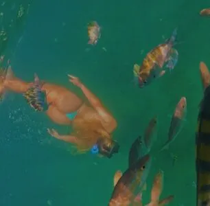 Rebeca Lemos OnlyFans Leaked Free Thumbnail Picture - #qimpcdkIiW