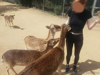 Red Bella Baby Free OnlyFans Leaked Free Thumbnail Picture - #J9Iv4SA6VY