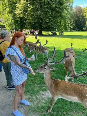 Redheadragonvip OnlyFans Leaked Free Thumbnail Picture - #pcAlczIhaR