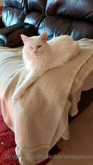 Redvelvetwoman OnlyFans Leaked Free Thumbnail Picture - #DYuNgTk1AP