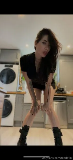 Reedefox OnlyFans Leaked Free Thumbnail Picture - #BfBJ5ZKGq8