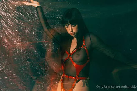 Reedsuicide OnlyFans Leaked Free Thumbnail Picture - #S0Qf4HK3oJ