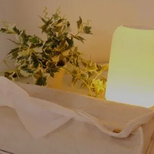 Reiko Kobayakawa OnlyFans Leaked Free Thumbnail Picture - #bCioDnHkTy