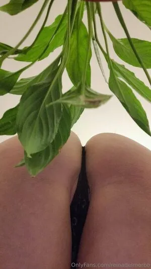 Reinadelmorbo OnlyFans Leaked Free Thumbnail Picture - #tReiwLpSqX