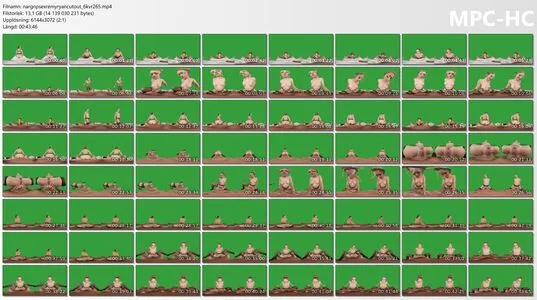 Remy Lacroix OnlyFans Leaked Free Thumbnail Picture - #ZxY2n14cOQ