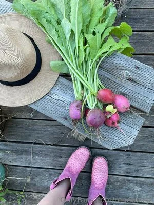 Reneealeja OnlyFans Leaked Free Thumbnail Picture - #EKBfOUKlho