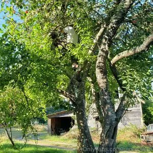 Reneealeja OnlyFans Leaked Free Thumbnail Picture - #OC2bbnDXek