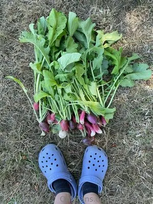 Reneealeja OnlyFans Leaked Free Thumbnail Picture - #QwLRM5mKTn