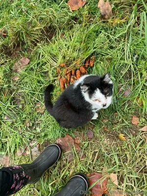 Reneealeja OnlyFans Leaked Free Thumbnail Picture - #c7yUS2ucuY