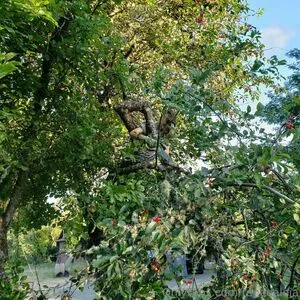 Reneealeja OnlyFans Leaked Free Thumbnail Picture - #p7ZexpAfXZ