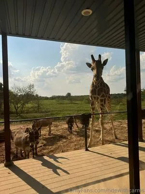 Ridewithcarms OnlyFans Leaked Free Thumbnail Picture - #18M0Nc3oH6