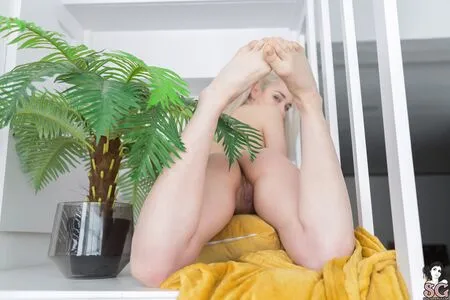 riiaasg OnlyFans Leaked Free Thumbnail Picture - #siR3X9ekQE