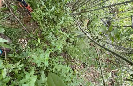 Riley Jensen OnlyFans Leaked Free Thumbnail Picture - #N4Qy0KE8eq