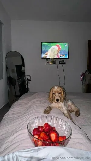 Rileycutie OnlyFans Leaked Free Thumbnail Picture - #uD5b9IC8rl