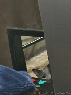 Rinkuroneko OnlyFans Leaked Free Thumbnail Picture - #e1yWSLQEj2