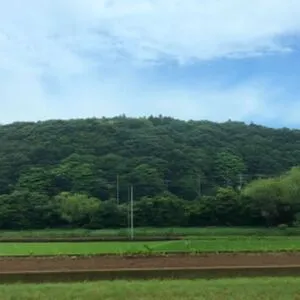 Rio Fujisawa OnlyFans Leaked Free Thumbnail Picture - #NJer4bBRzx