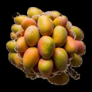 Ripemango OnlyFans Leaked Free Thumbnail Picture - #LVQrBO0Aov