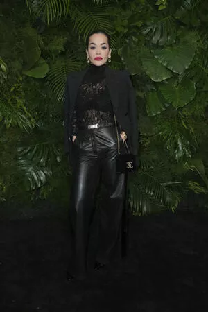 Rita Ora OnlyFans Leaked Free Thumbnail Picture - #SpIeha8fJg