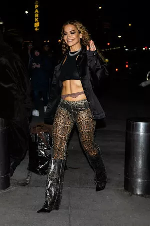 Rita Ora OnlyFans Leaked Free Thumbnail Picture - #qWkxjM3OtW