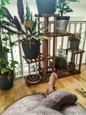 Rockerocelot OnlyFans Leaked Free Thumbnail Picture - #hSsS95xWpV