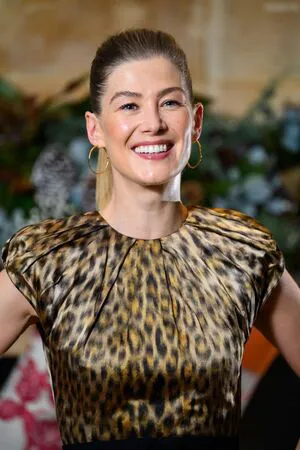 Rosamund Pike OnlyFans Leaked Free Thumbnail Picture - #wCi0YlMoo0