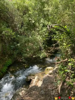 Rosenymph OnlyFans Leaked Free Thumbnail Picture - #Gj2hl9CWUH