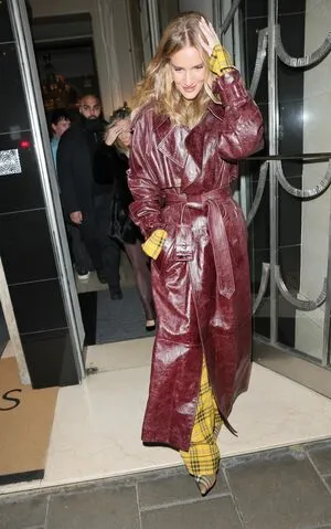 Rosie Huntington-Whiteley OnlyFans Leaked Free Thumbnail Picture - #6I2LjwHlUW