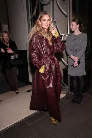 Rosie Huntington-Whiteley OnlyFans Leaked Free Thumbnail Picture - #GoByiflemg