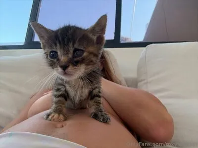 Roxysdream OnlyFans Leaked Free Thumbnail Picture - #T5PGwkt3wS