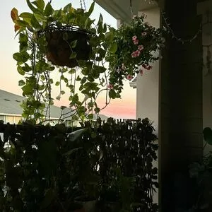 Ruby Peach OnlyFans Leaked Free Thumbnail Picture - #B9GnfIX4ji