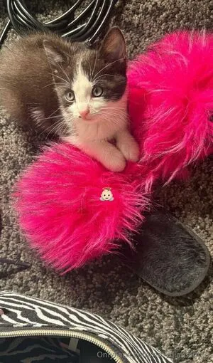 Rubydiamantee OnlyFans Leaked Free Thumbnail Picture - #H4aFU0mhGU