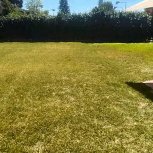 Rvanzen OnlyFans Leaked Free Thumbnail Picture - #MOuPP4D4A3