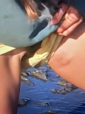 Sailing The Far Side OnlyFans Leaked Free Thumbnail Picture - #XT3Kr75cLx