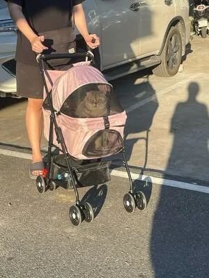 Saizneko OnlyFans Leaked Free Thumbnail Picture - #svhv4bve3a