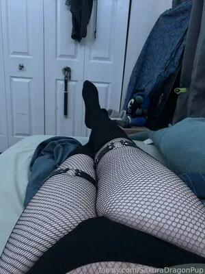 Sakuradragonpup OnlyFans Leaked Free Thumbnail Picture - #kc5pPqzeYb
