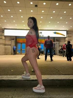 Sakuratheforbiddenfruit OnlyFans Leaked Free Thumbnail Picture - #pbtLi61JpS