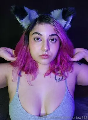 Salemharlow666 OnlyFans Leaked Free Thumbnail Picture - #zfi5Fk3Lxq