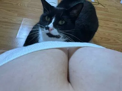 Saltedfishcakes OnlyFans Leaked Free Thumbnail Picture - #KtvPNTQ9hO