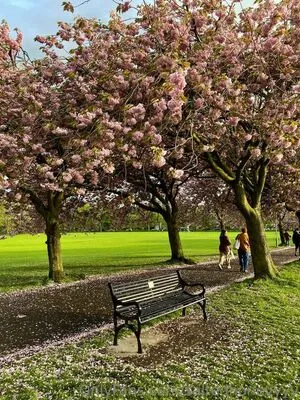 Saltedhoney OnlyFans Leaked Free Thumbnail Picture - #kEvgEWzBd7