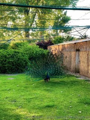 Saltedhoney OnlyFans Leaked Free Thumbnail Picture - #zqAzzcdQp9