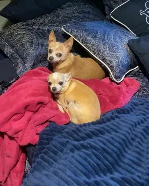 Sammy Eldrups OnlyFans Leaked Free Thumbnail Picture - #L2ZRCa3fyt