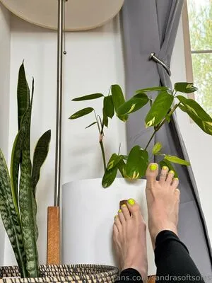 Sandrasoftsoles OnlyFans Leaked Free Thumbnail Picture - #70qGKrphP6