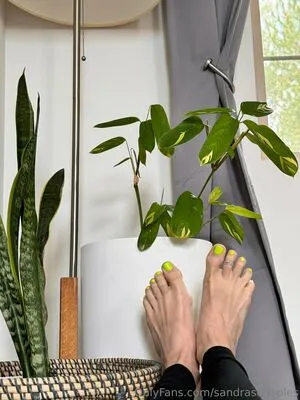 Sandrasoftsoles OnlyFans Leaked Free Thumbnail Picture - #GApM6yoOVZ