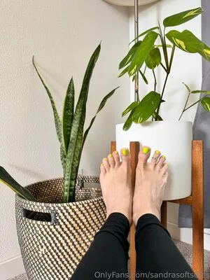 Sandrasoftsoles OnlyFans Leaked Free Thumbnail Picture - #rILeWBvWm2