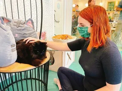 Sarah Z OnlyFans Leaked Free Thumbnail Picture - #G7nbWP34U3