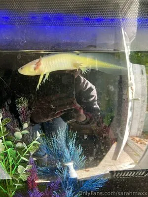 Sarahmaxx OnlyFans Leaked Free Thumbnail Picture - #gCrD0aSKBI