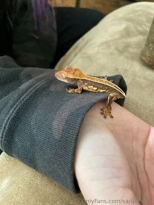 Sarahmaxx OnlyFans Leaked Free Thumbnail Picture - #iQsUcVSHEW