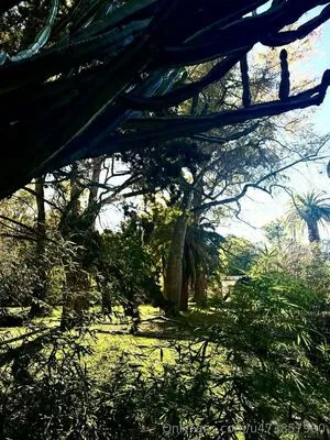 Sarraconnor OnlyFans Leaked Free Thumbnail Picture - #2rBqrHUuB4